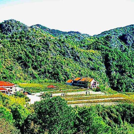 Eco Winery Lipovac Apartments Cetinje Eksteriør bilde